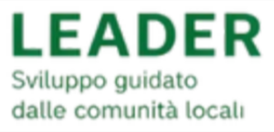 LEADER
