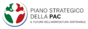 Piano Strategico della PAC